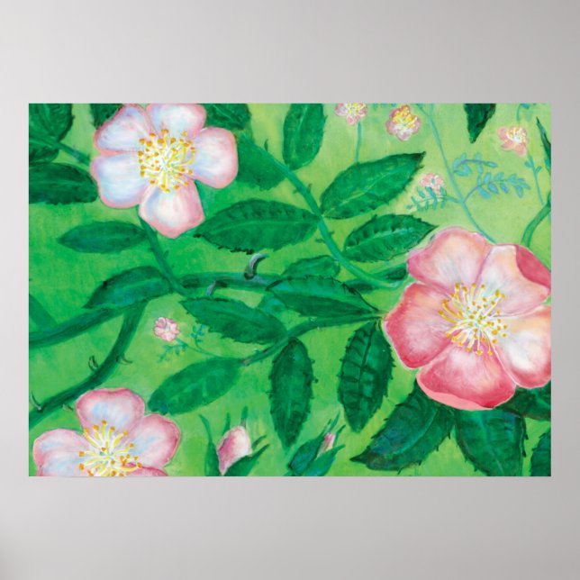 Affiche Rose de chien (Rosa Canina) (Devant)