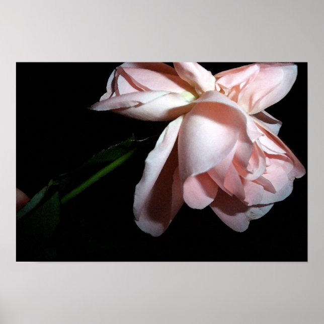Affiche Rose de danse 19x13 (Devant)