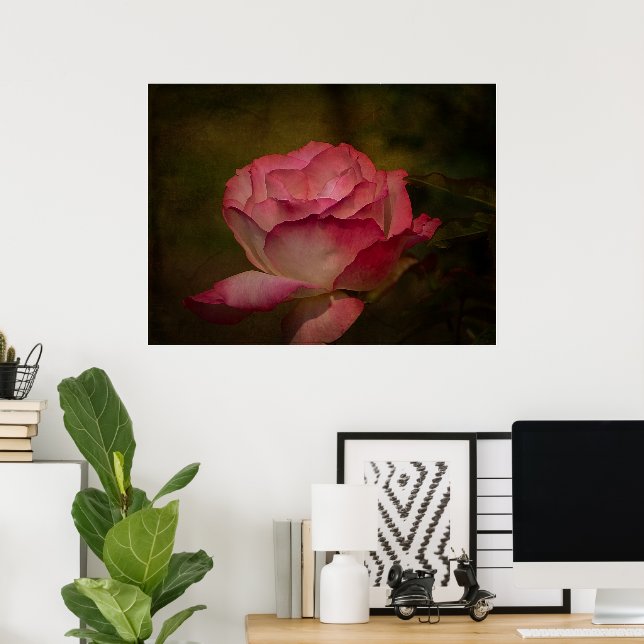 Affiche Rose de début de soirée (Bureau à domicile)