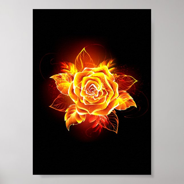 Affiche Rose de feu en fleurs (Devant)