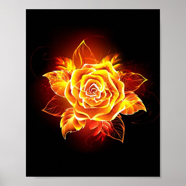 Affiche Rose de feu en fleurs (Devant)