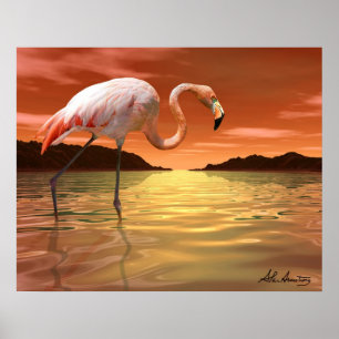 Affiche rose de Flamant rose de la Floride