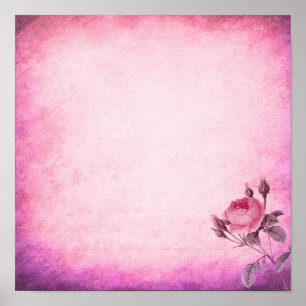 Affiche Rose de la Saint Valentin