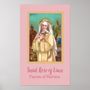 Affiche Rose de Lima par nuit (M 024)