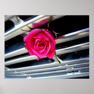 Affiche Rose de rose sur l'affiche de gril