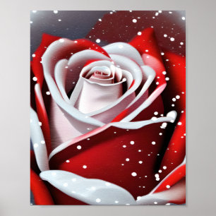 Affiche Rose d'hiver