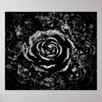 Affiche Rose du cimetière gothique
