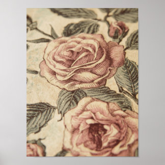 Affiche Rose Garden Sketch