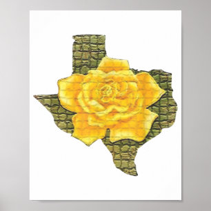 Affiche Rose Jaune Du Texas Motif Flower