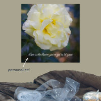 Rose jaune pâle