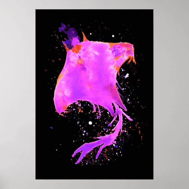 Affiche Rose Manta Ray (Devant)