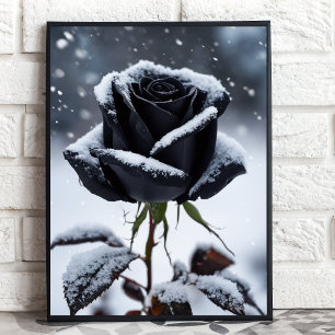 Affiche Rose noir en neige - Moody Winter Floral Art Impri