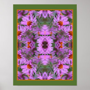 Affiche Rose Nouvelle-Angleterre Aster Flowers Abstrait