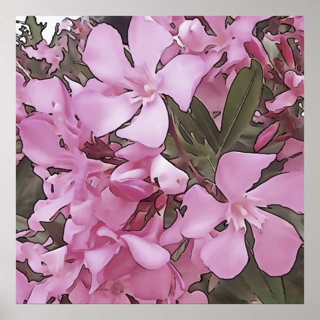 Affiche Rose Oleander Rose Laurel Black Outline Art (Devant)