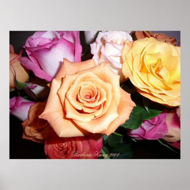 Affiche Rose orange (Devant)