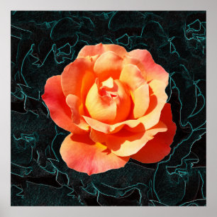 Affiche Rose orange clair