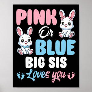 Affiche Rose Ou Bleu Gros Sis Vous Aime Gros Sexe Révéler
