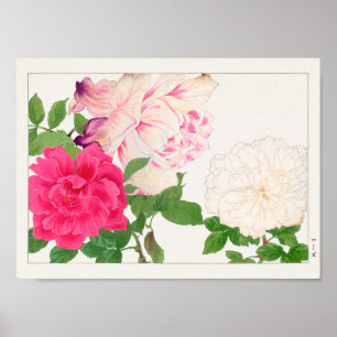 Affiche Rose par Tanigami Konan