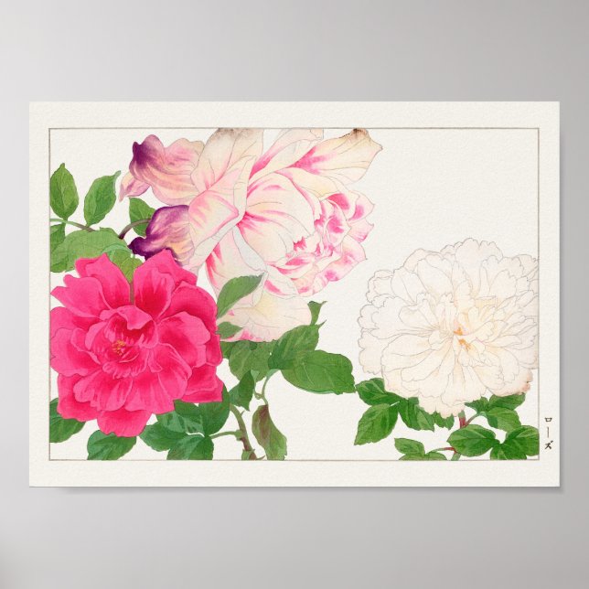 Affiche Rose par Tanigami Konan (Devant)