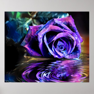 Affiche Rose pourpre