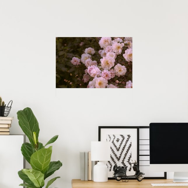 Affiche Rose romantique rose (Bureau à domicile)