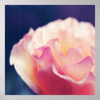 Affiche Rose rose romantique sur toile Macro abstrait