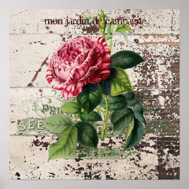 Affiche Rose rose sur panneau en bois rustique (Devant)