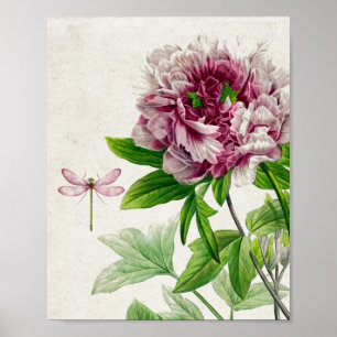 Affiche Rose rose vintage et murale de libellules