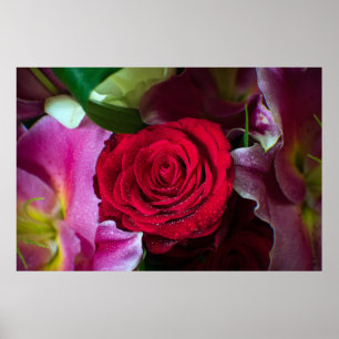 AFFICHE ROSE ROUGE