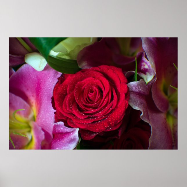 AFFICHE ROSE ROUGE (Devant)