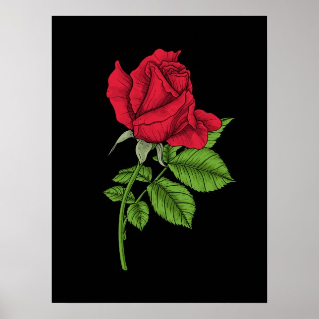 Affiche Rose rouge (Devant)
