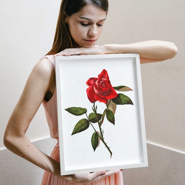 Affiche Rose rouge à tige simple artistique (Créateur téléchargé)
