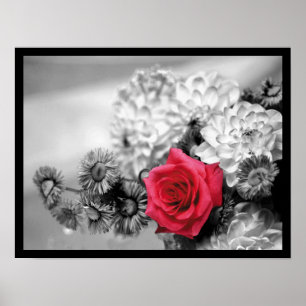 Affiche Rose rouge élégant