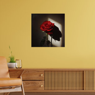 Affiche Rose rouge ombragée - Dramatique Chiaroscuro Flora