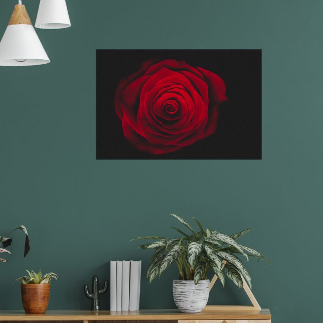 Affiche Rose rouge sur fond noir effet vintage (Salon 1)