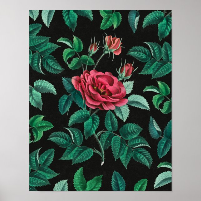Affiche Rose Rouge Vintage (Devant)