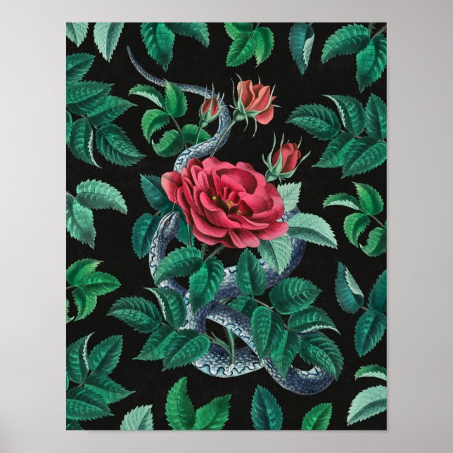 Affiche Rose rouge vintage et serpent (Devant)