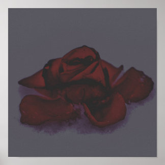 Affiche Rose sombre