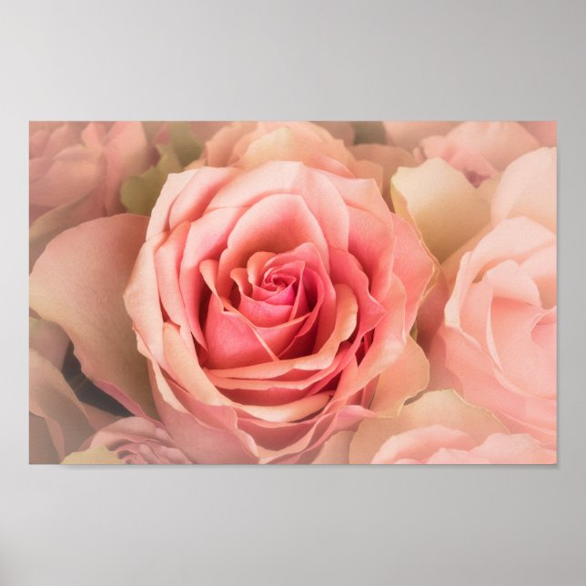 Affiche Rose souple (Devant)