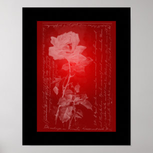 Affiche Rose sur l'affiche rouge