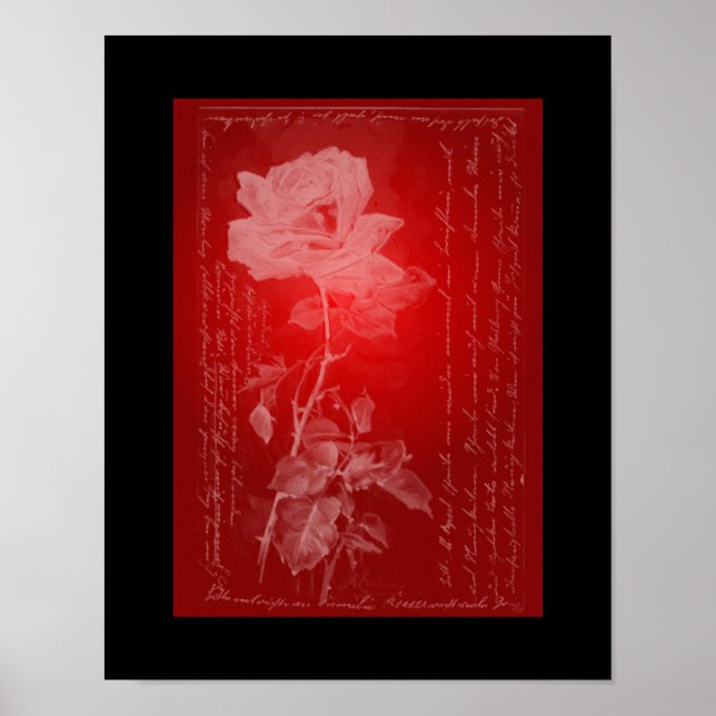 Affiche Rose sur l'affiche rouge (Devant)