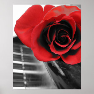Affiche Rose sur Piano Collection I