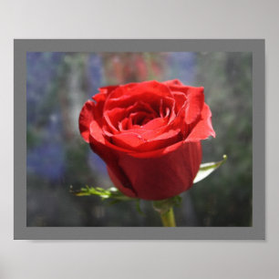 Affiche Rose Valentine Imprimer