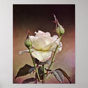 Affiche Rose Vieux Monde Portrait Photographie Art Imprime