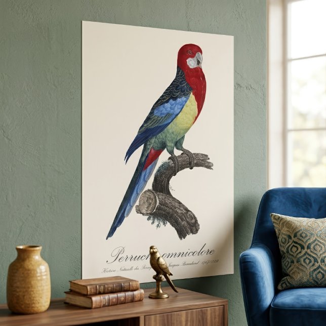 Affiche Rosella orientale ou Perruche à tête pâle Platycer (Eastern rosella or Platycercus eximius parakeet. Poster)
