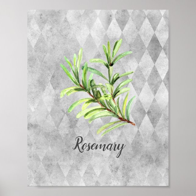 Affiche Rosemary Herbe Aquarelle (Devant)