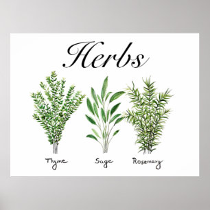 Affiche Rosemary Herbes de Sage de thym Cuisine culinaire