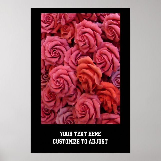Affiche Roses à fleurs roses (Devant)