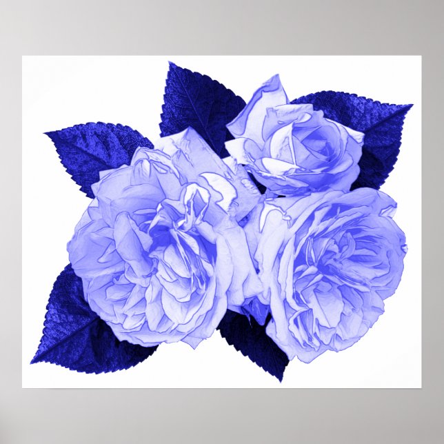 Affiche Roses à l'ancienne (Devant)