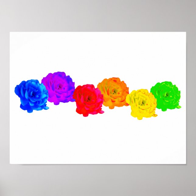 Affiche Roses arc-en-ciel (Devant)